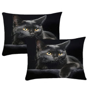 Set of 2 Black Cat Print Pillowcases Soft Decor for Bedroom Living Room Car