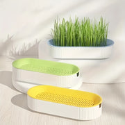 Hydroponic Cat Grass Growing Kit with Durable Tray Indoor Gardening