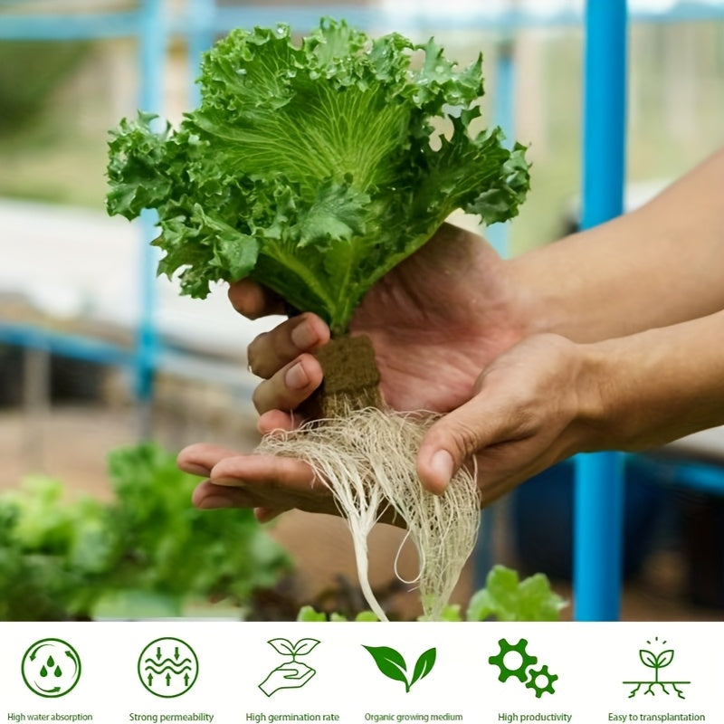 Hydroponic Seed Starter Cubes 100/50pcs for Soilless Seedling Cultivation Gardening