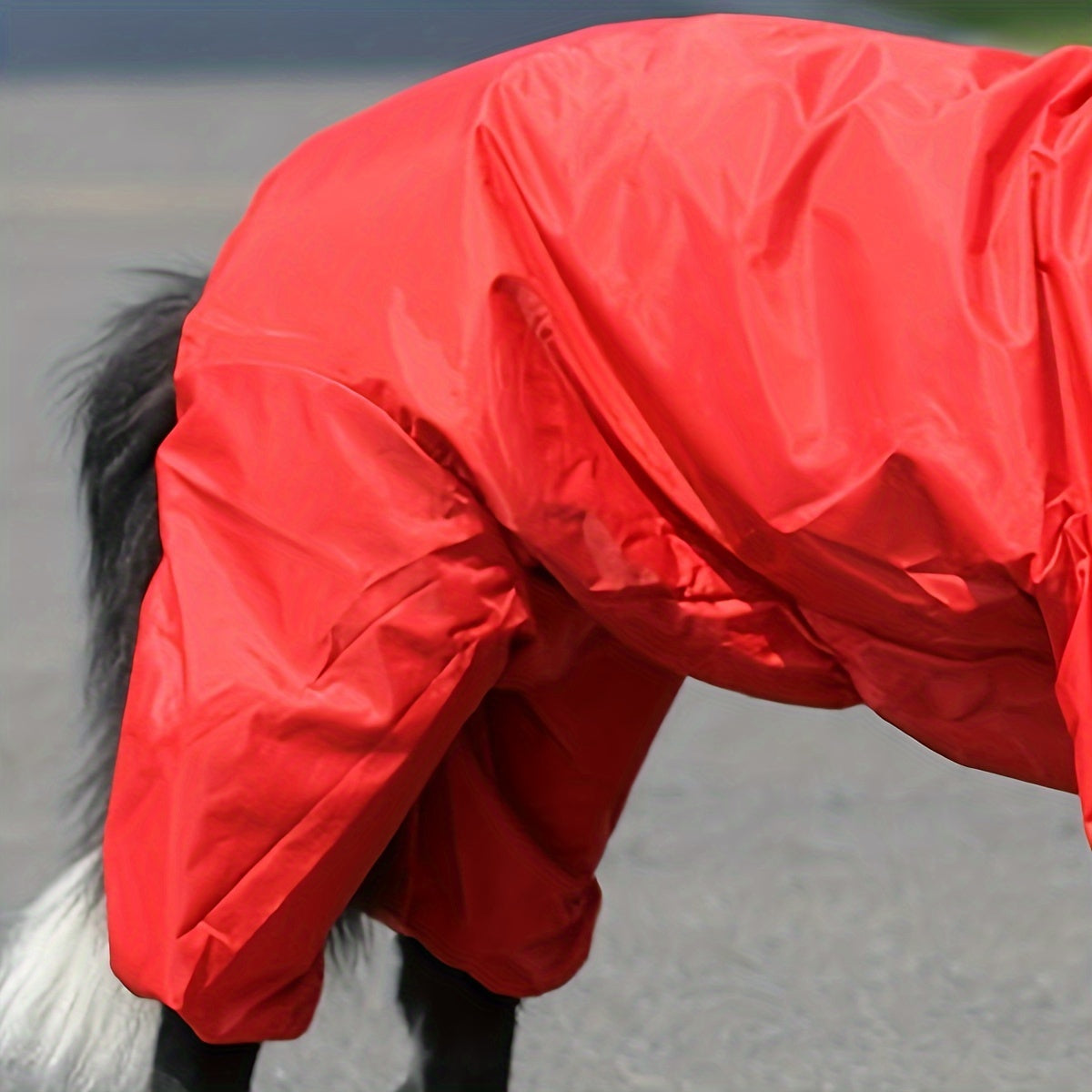 Large Red Dog Raincoat Waterproof Woven Polyester for Medium and Small Dogs