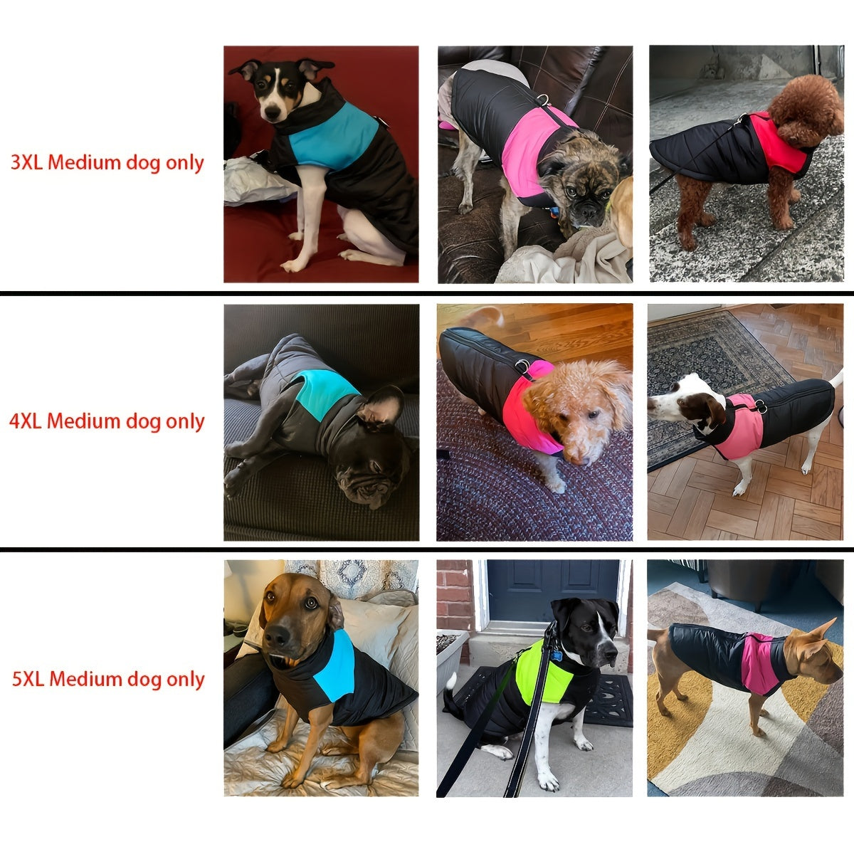 Windproof Winter Dog Jacket for Medium Breeds Polyester Zippered Warm Outdoor Apparel