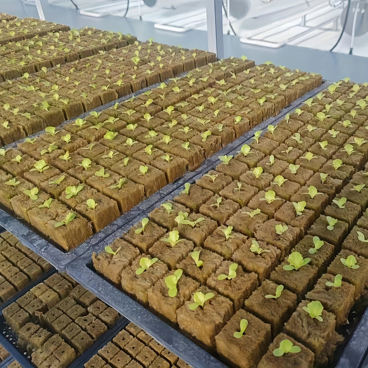 Planting Cubes for Agriculture Gardens and Fields Water Storage Soilless Cultivation