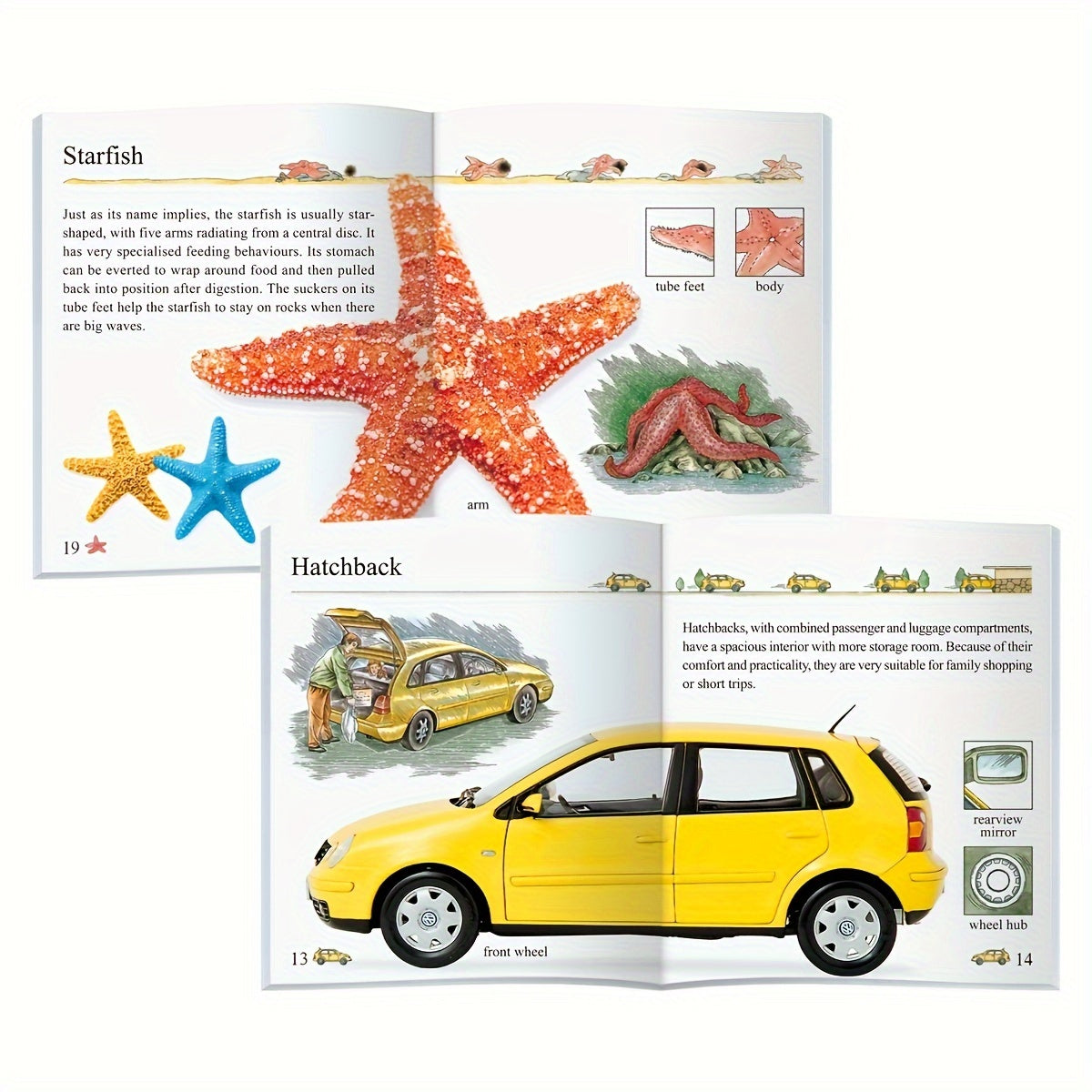 Set of 10 Children's Educational Books for Kids Ages 3 and Up