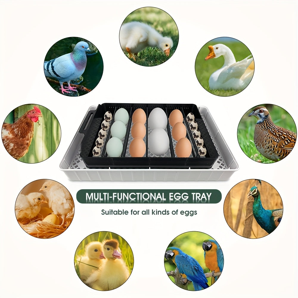 12 Авто Инкубаторов