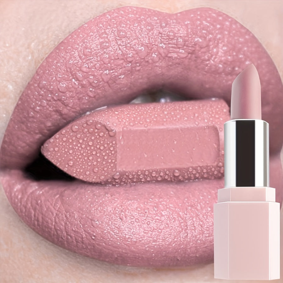 Women Long-Lasting Lipstick Set Moisturizing Waterproof Lip Gloss in Assorted Shades