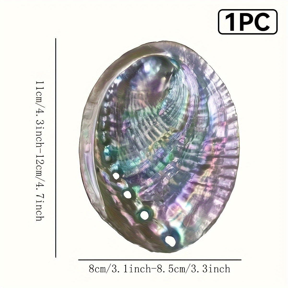 Large Abalone Shell Bowl for Smudging 9.65-11.94 cm