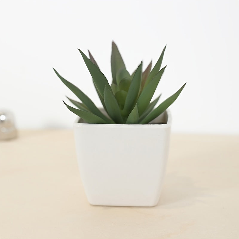 Mini Realistic Succulent Plant Indoor Houseplant for All Decor Styles