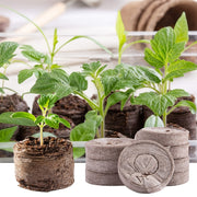 Iniciador de semillas de fibra de planta 20/50/100 para el crecimiento de plántulas, plantas herbáceas, verduras y flores