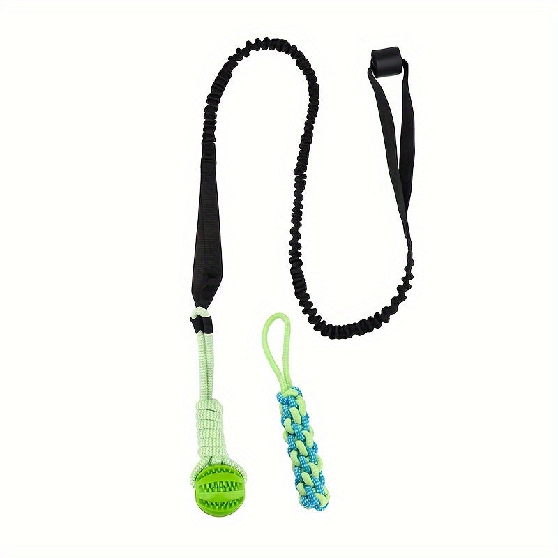 Dog Toy and Potty for Indoor Outdoor Use Fabric All Breed Sizes