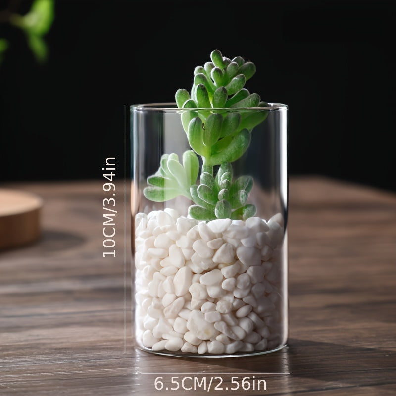 Minimalist Clear Glass Flower Vase for Wedding Decor 6.5x8cm