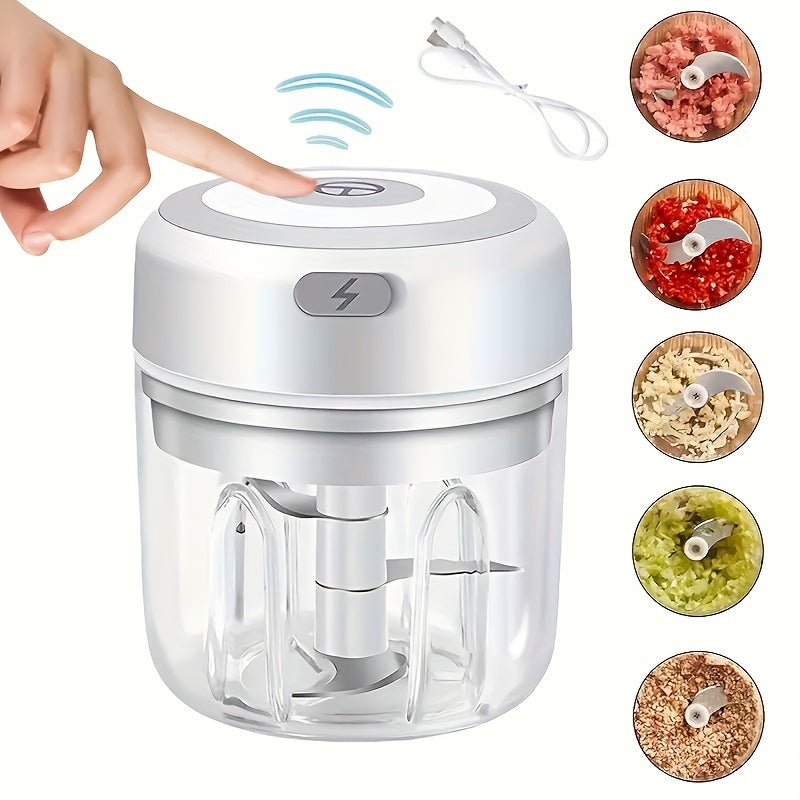 Portable Electric Mini Garlic Chopper 100/250ML Rechargeable Handy Food Chopper