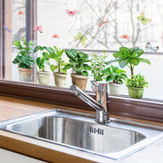 Plant Themed Static Cling Window Decal 15x40cm Reusable PVC Decor