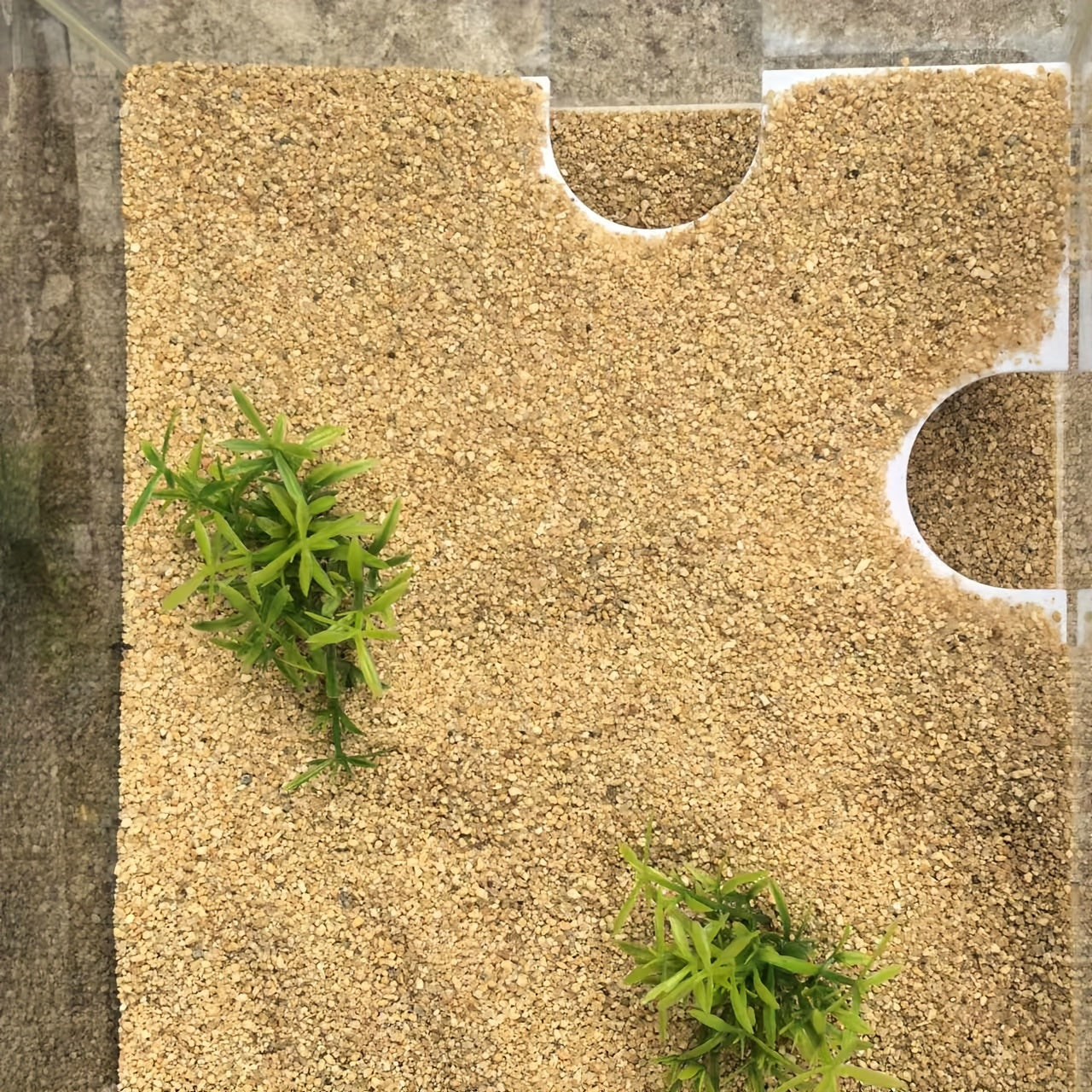 Fish Tank Cave Tunnel ABS Plastic Aquarium Decor with Observation Window for Fish Resting and Play