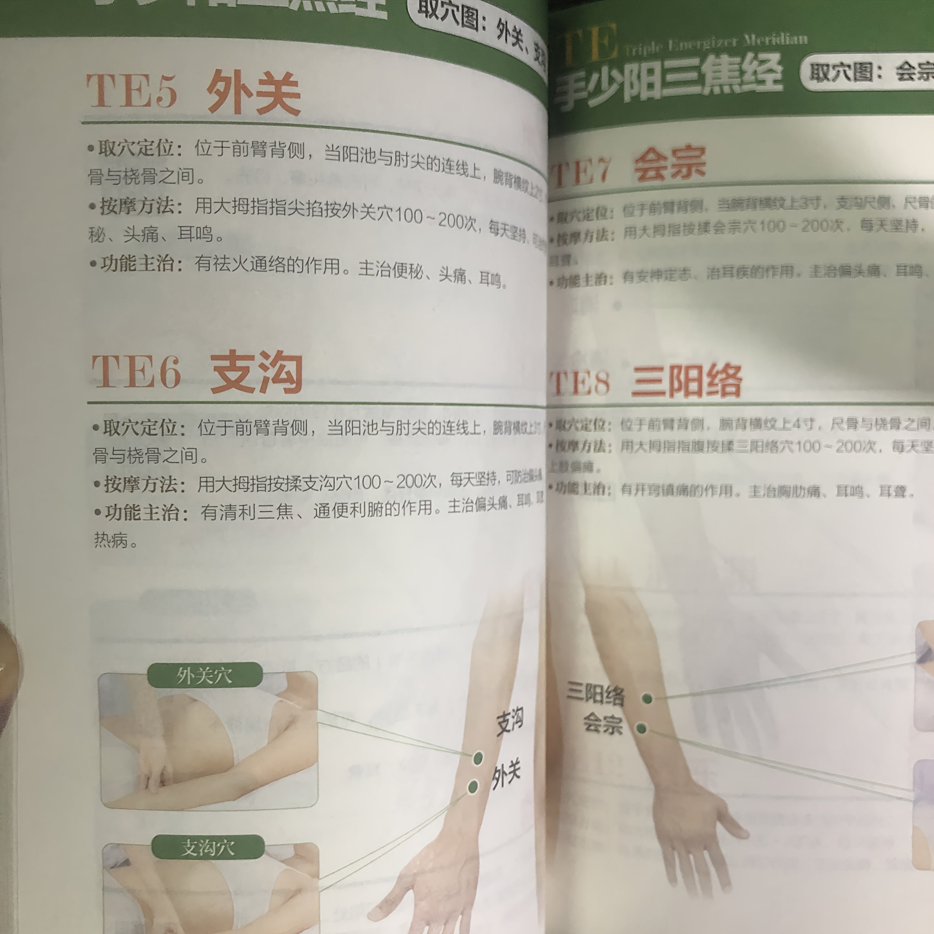 Chinese Language Book on Meridian and Acupoint Massage, Illustrated Guide, 2018