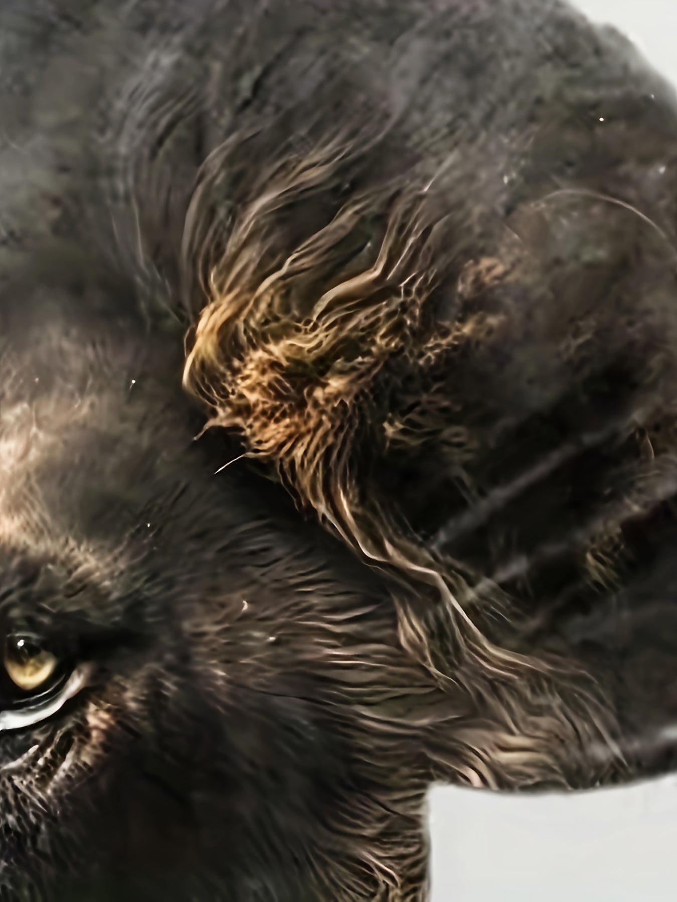 Мужская футболка свободного кроя с принтом льва 3D из хлопка и полиэстера для лета