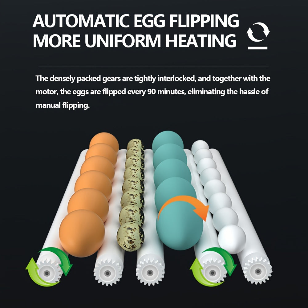 64-Egg Capacity Digital Egg Incubator with Automatic Turn and Temperature Control