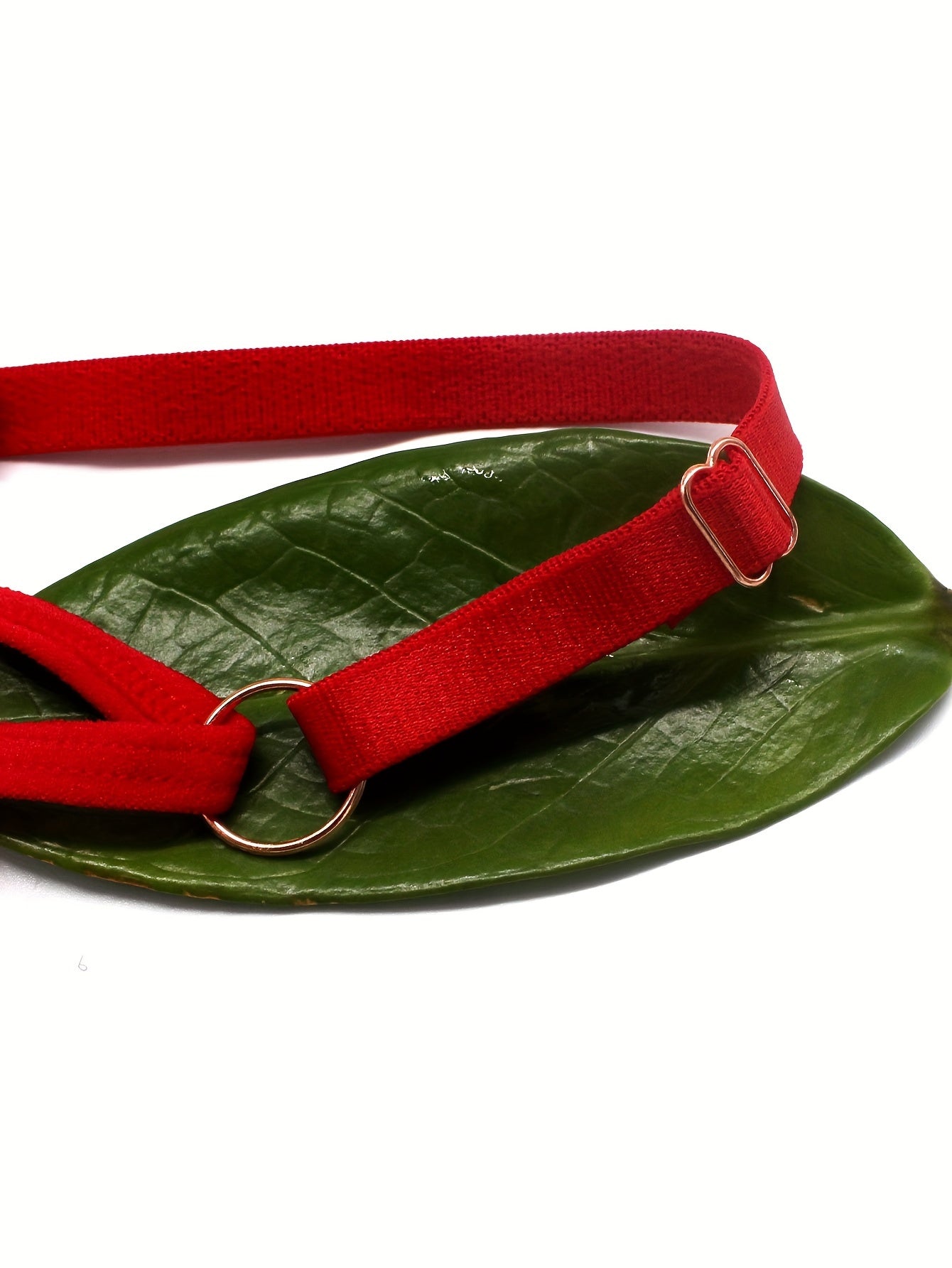 Женское сексуальное белье и нижнее белье с цветочной вышивкой, стринги и трусики с пустым кольцом.