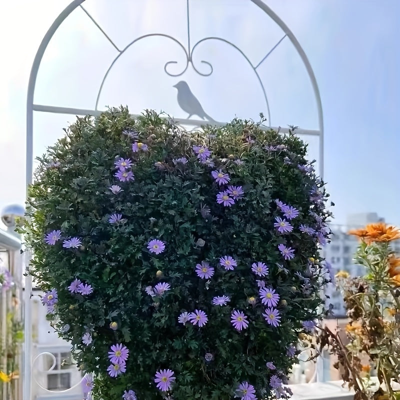 Iron Garden Trellis for Climbing Plants and Flowers Outdoor Support Fence