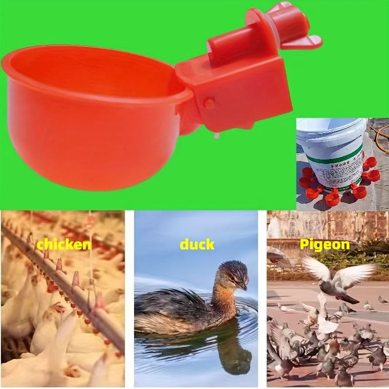 Plastic Automatic Poultry Water Fountain for Chickens and Poultry