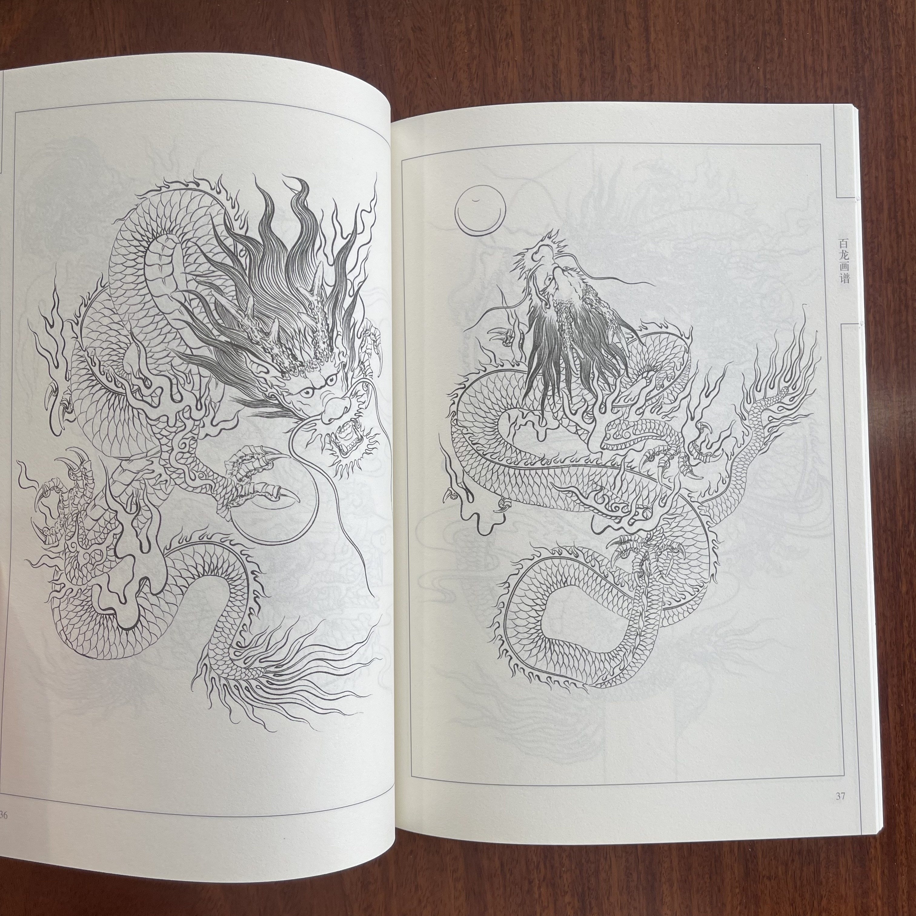 Traditional Chinese Ink Line Drawing Manual for Beginners with 100 Dragons Art Instruction Book