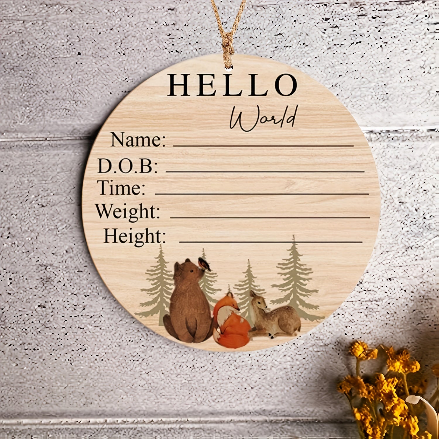 Baby Announcement Signs Personalized Birth Announcement for Newborn Hospital Welcome Sign