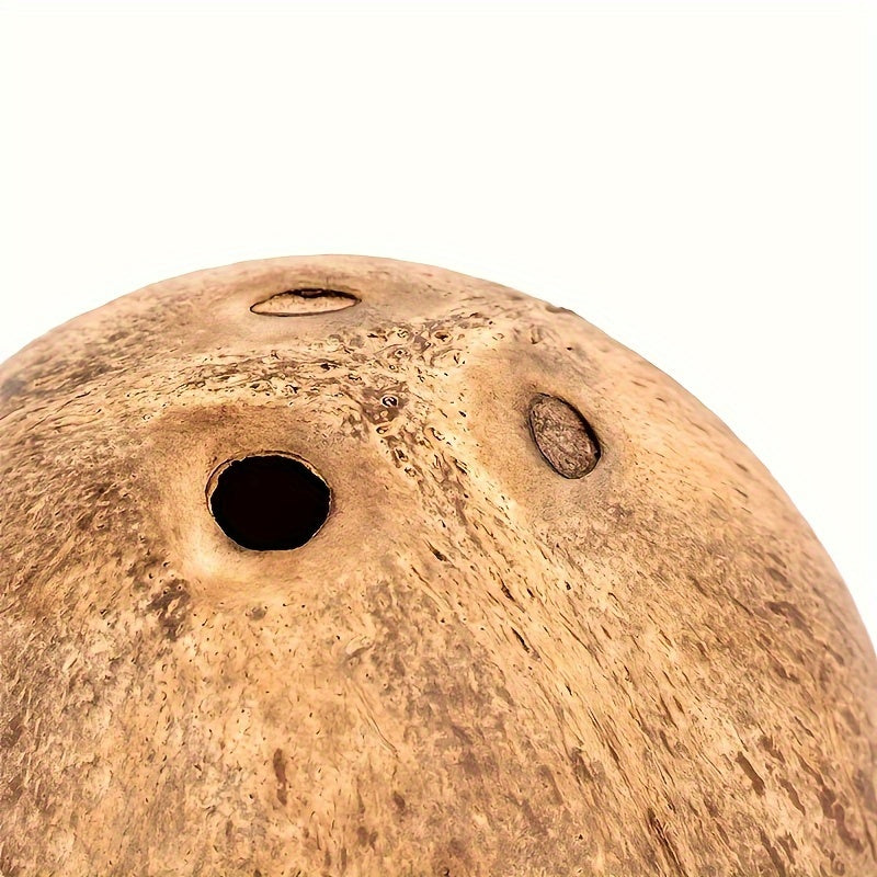 Nido de cáscara de coco para mascotas pequeñas, hámsters, ardillas, erizos y aves