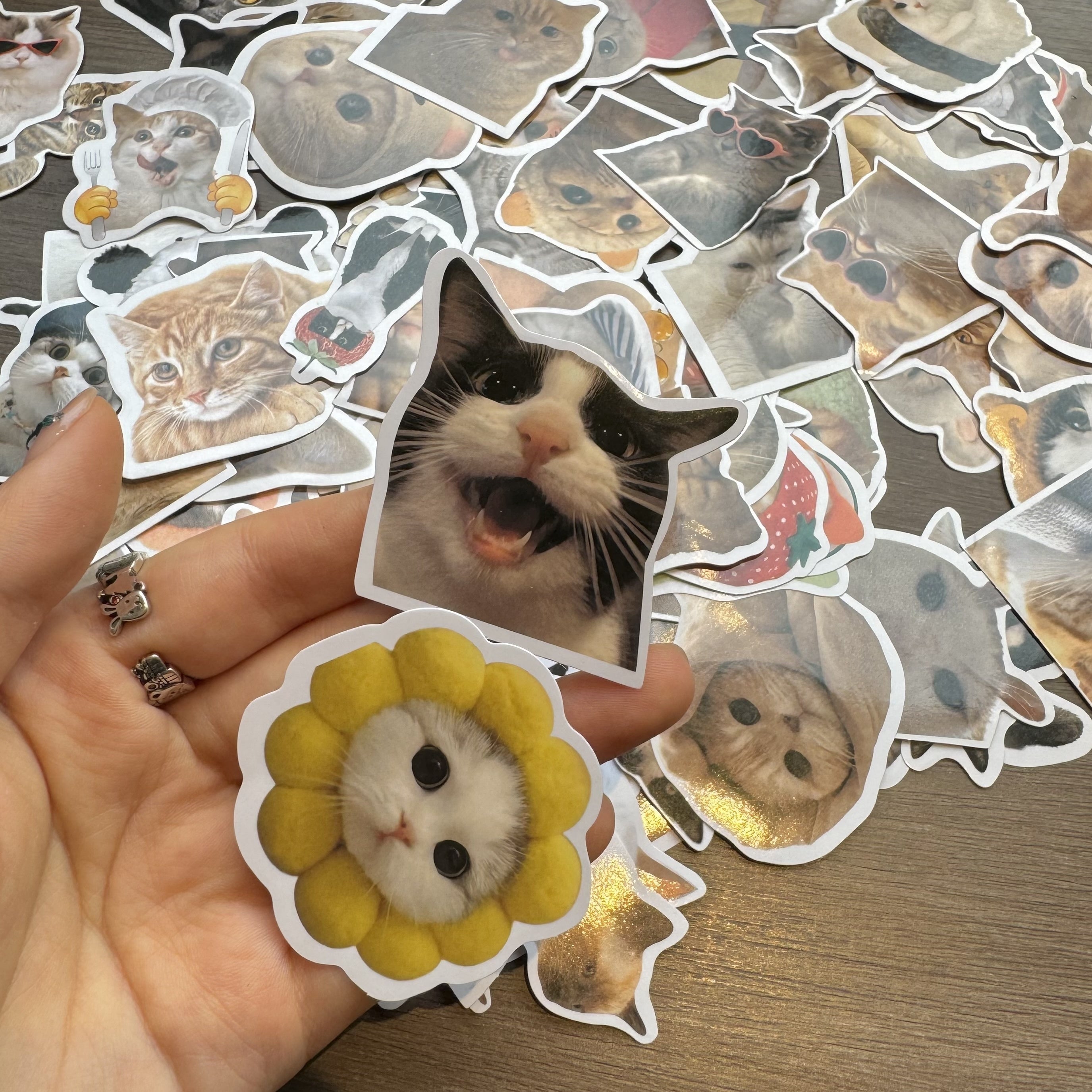 100 қўзғолон мураккаб мурувватли қўлёзмалар, ялтирайдиган, ўз-ўзини қўллаш учун, багаж, ноутбук, гитара, сув идиши учун