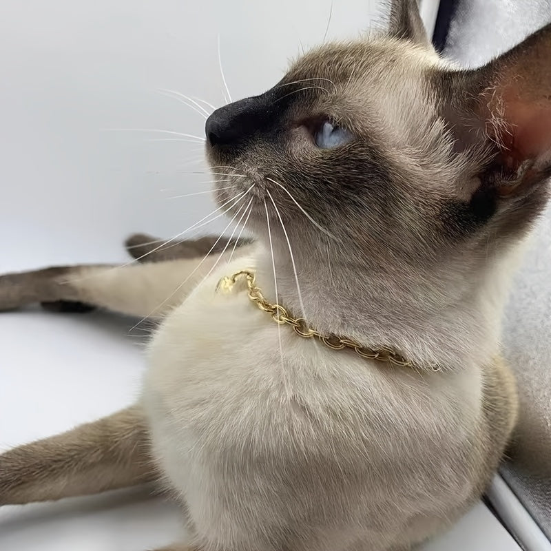Collar ajustable en forma de corazón de aleación para gato y perro pequeño con cadena versátil