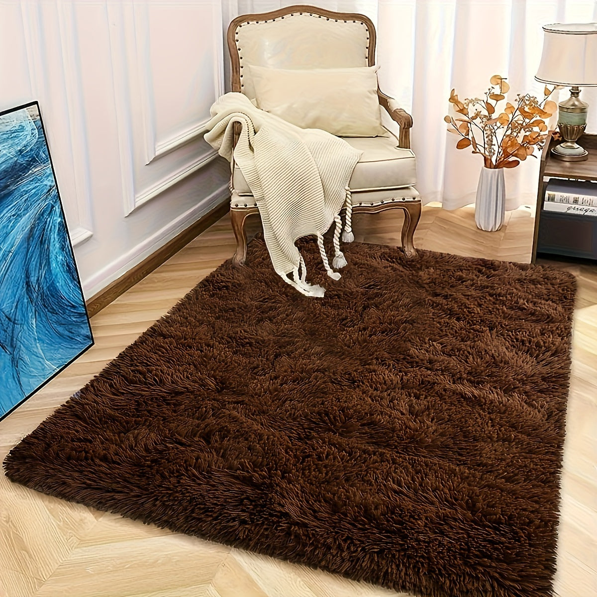 Soft Shaggy Carpet for Living Room Bedroom Hallway, Easy to Maintain