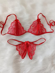 Lingerie Set with Deep V Neckline and See-Through Back, Includes Bra and Open Crotch Thong