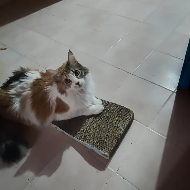 Large Corrugated Cardboard Cat Scratcher Lounge with Fish Pattern and Cozy Nest