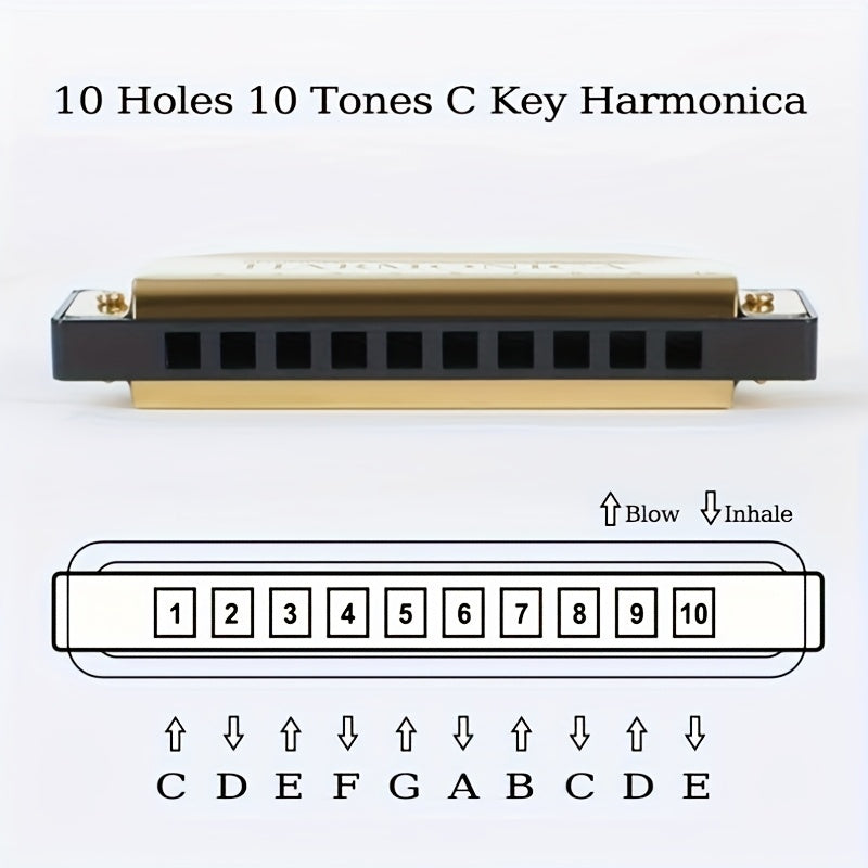 Boshlovchilar va mutaxassislar uchun qutisi va qoʻllanmasi bilan 10 teshikli C kaliti Blues Harmonica
