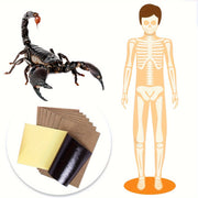 Chinese Scorpion Stickers for Shoulders Back Knees Waist Elderly Adults Family 16 40 80 pcs