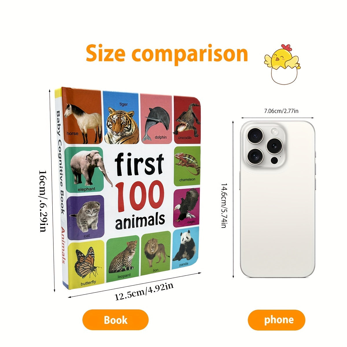 Children's English Learning Book for Ages 4+ 11 Pages Vocabulary Development