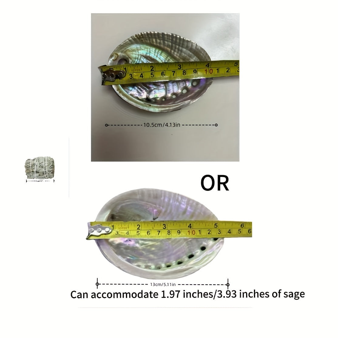 Large Abalone Seashells for Smudging Incense Burning Home Decor Pack of 1 or 2 10.16-12.7cm