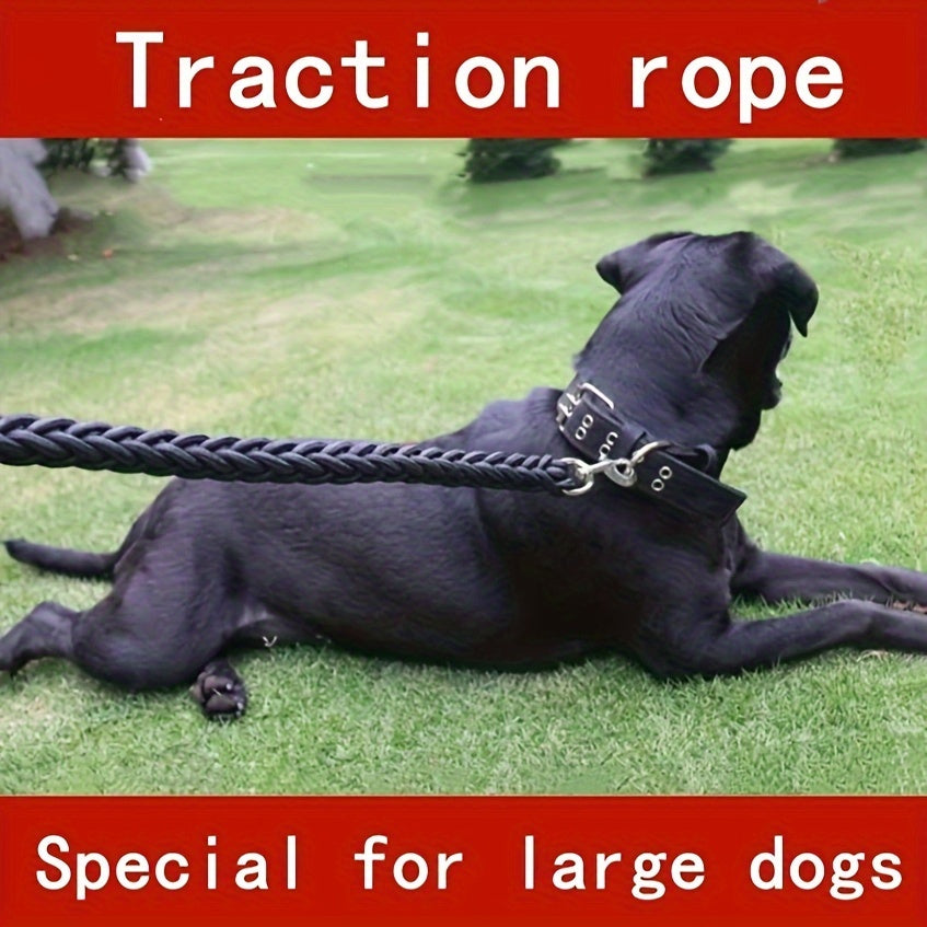 Nylon Braided Dog Leash 5 Ft for Training and Walking