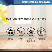 Kirby changyutgichlari uchun 12 ta changyutgich sumkasi to'plami, oq mato, Micron Magic bilan mos keladi