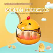 USB-Powered Egg Incubator with Transparent Hatching Chamber and Cute Chick Design for Poultry Eggs