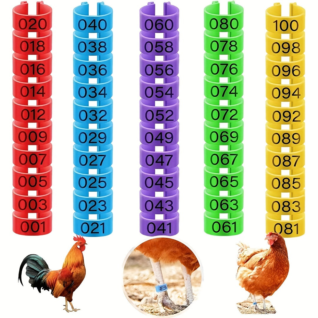 100 Pack Poultry Leg Bands in 5 Colors for Chickens Ducks and Geese