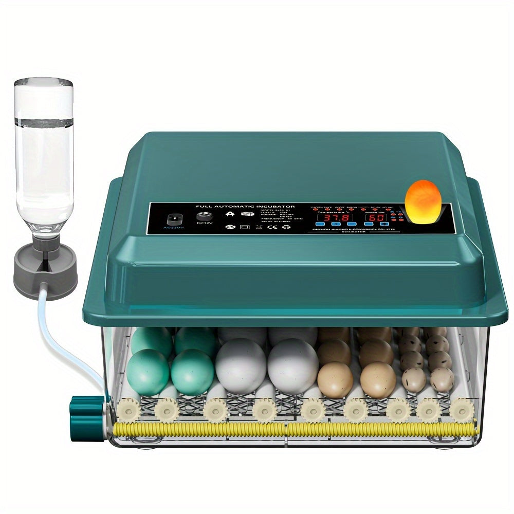 36-Egg Teal Digital Inkubator bilan sozlanadigan harorat, impulsli isitish, sovuq nurni chiqish