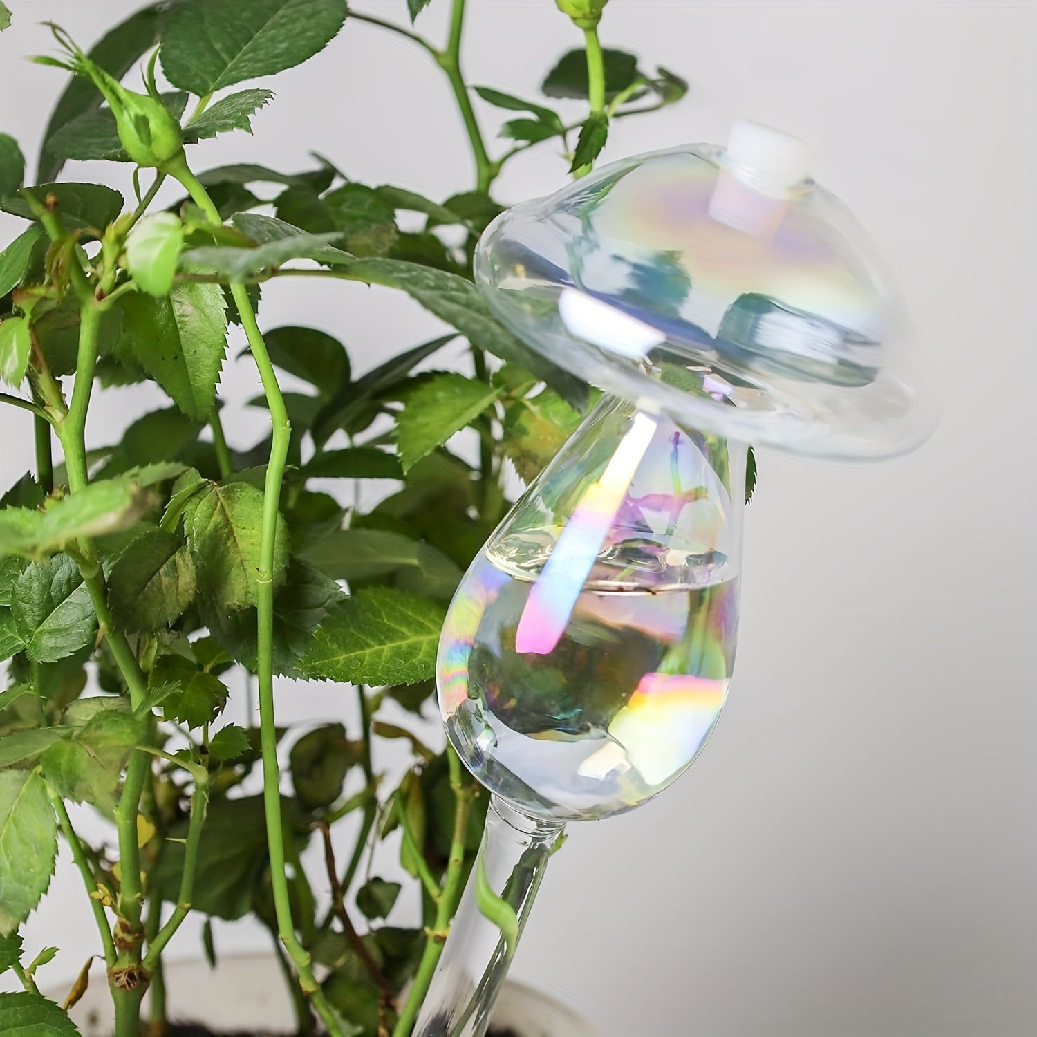 4-упаковка лейки для полива грибов с автоматическим капельным орошением из стекла для садов.