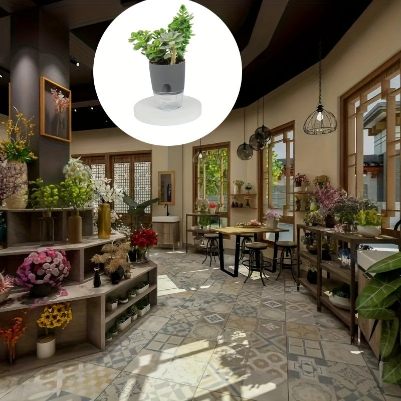 Self-Watering Plastic Planters with Watering Bottle for Indoor Herbs and House Plants Set of Three