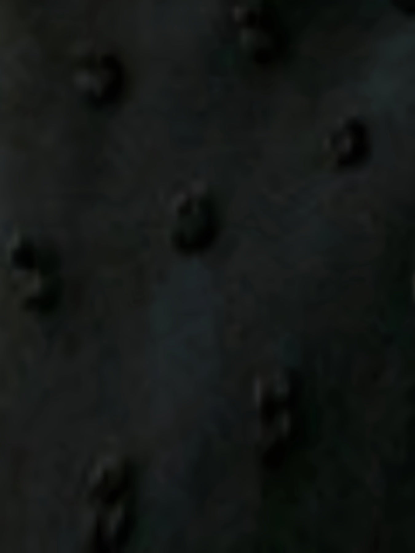 Plus Size Solid Swiss Dot Cinched Waist Dress for Spring Fall Long Sleeve Crew Neck