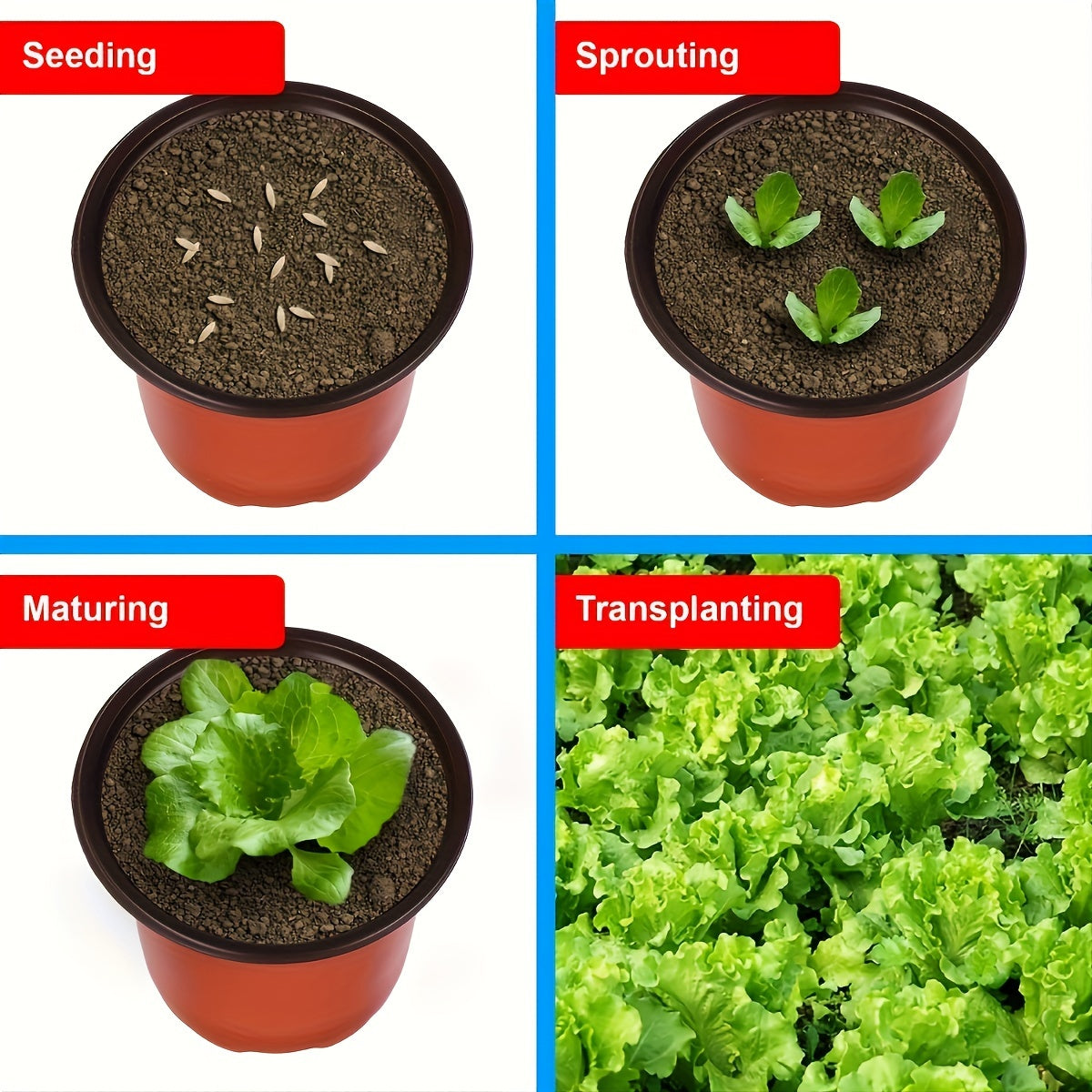 50-Donalik plastik konuscha to'siqlar bilan drenaj teshikli ichki va tashqi bog'dorchilik uchun