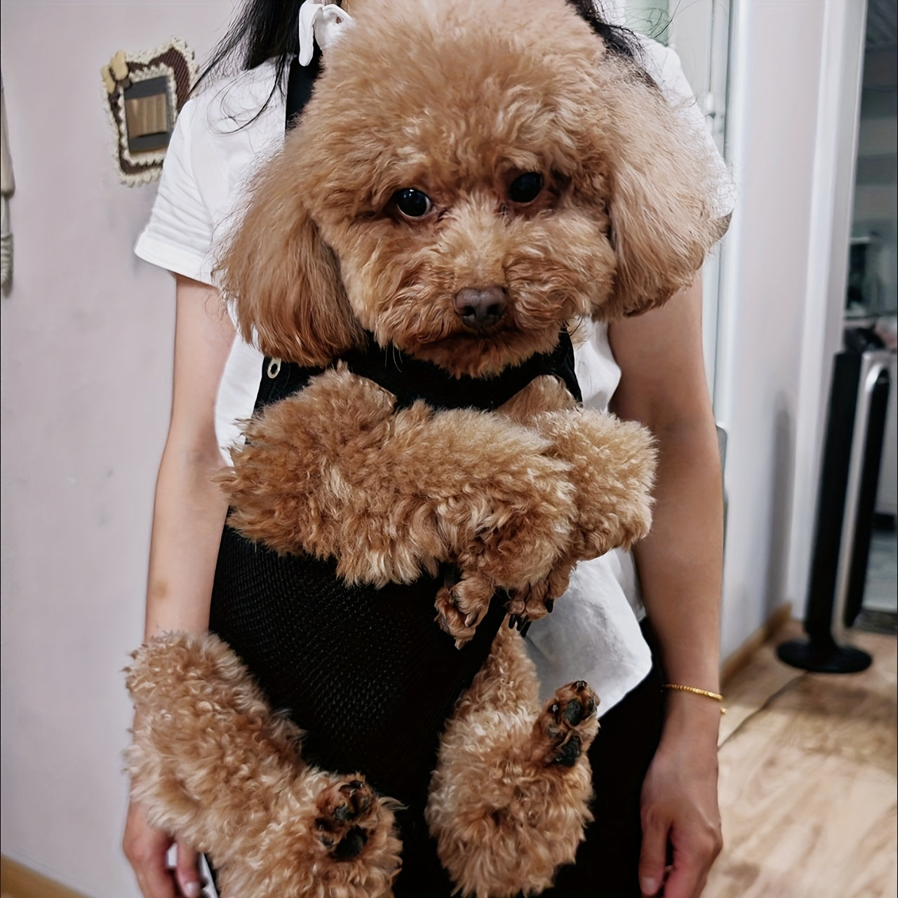 Pet Backpack for Small Dogs and Cats Breathable Mesh Zipper Carrier with Comfort Straps