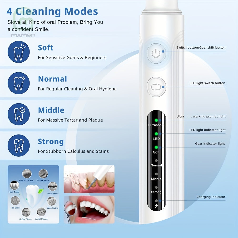 Teeth Cleaning Kit Rechargeable Plaque Tartar Remover with LED Light Stainless Steel Tools 4 Heads