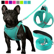 Reflective Dog Harness and Leash Set for Small to Medium Breeds Mesh Padded Nylon No-Choke Safety