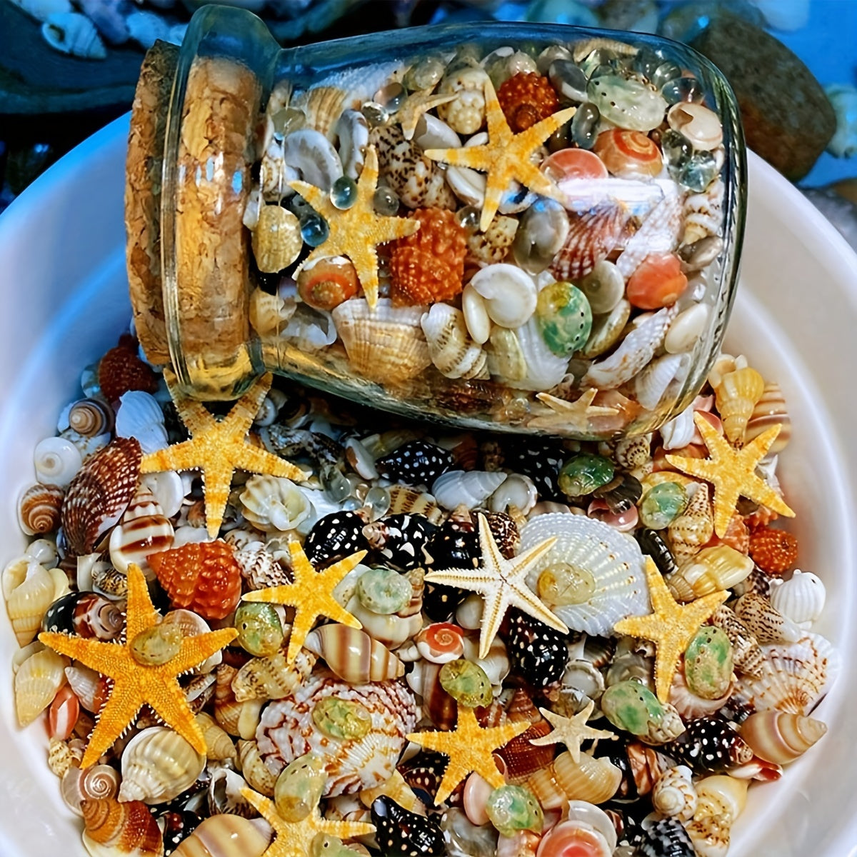 400 ta tabiiy konch shell to'plami, shisha bankada, kichik dengiz shell to'plami