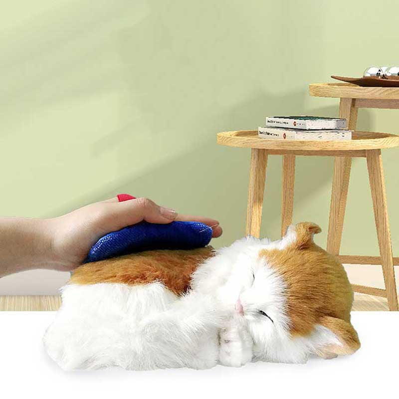 Pet Hair Remover for Furniture Bedding and Clothing Reusable No Electricity
