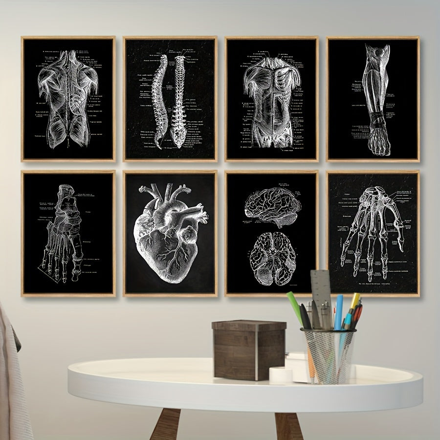 Set of 8 Vintage Anatomy Posters Wall Art Decor Waterproof Frameless Canvas Prints for Living Room Bedroom Cafe